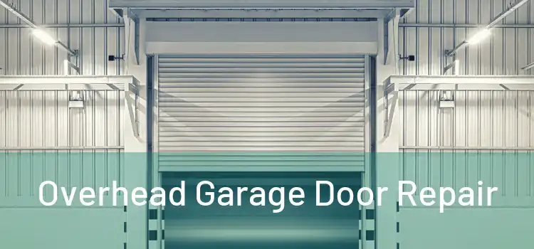  Overhead Garage Door Repair 